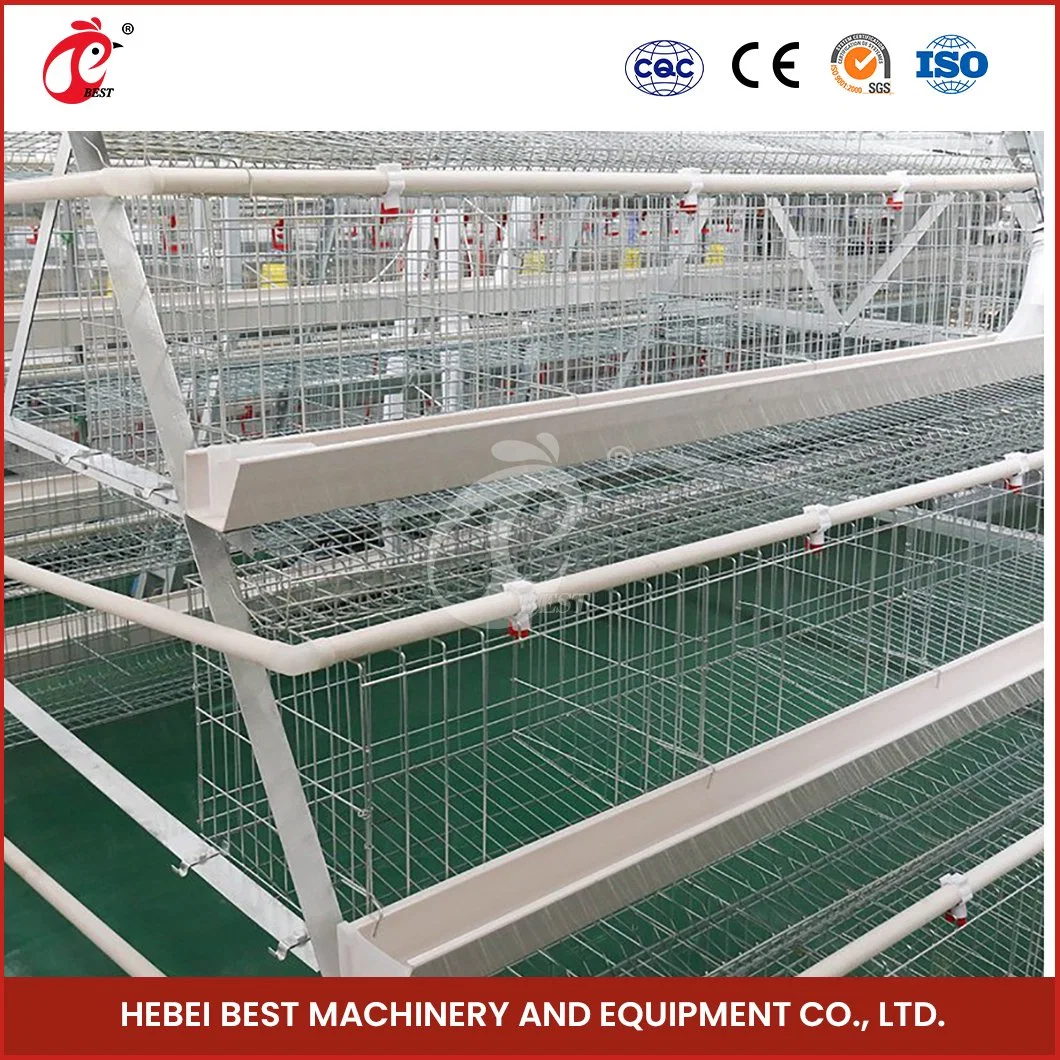 Bestchickencage a Type Baby Chicken Cage Breeder Cage China Dirt Floor Chicken Brooder Coop Manufacturer High-Quality High-Accuracy Big Pullet Chicken Cage