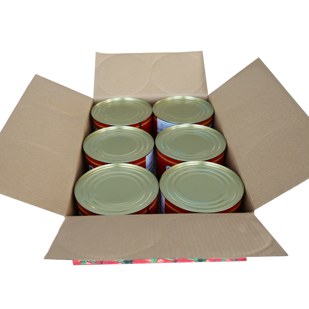 Canned Tomato Paste Sauce Specification 70g-4500g OEM