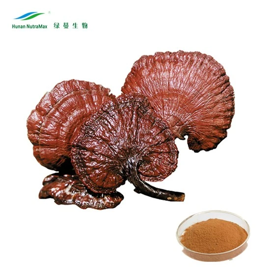 Bulk 10%~50% Polysacchrides Triterpenoids Organic Reishi Mushroom Extract