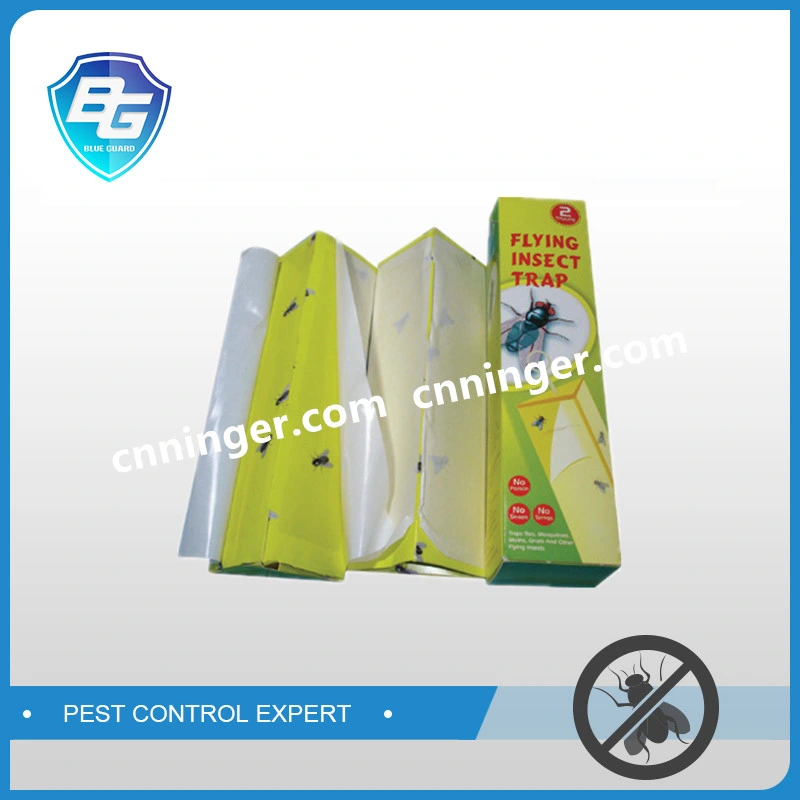 Triangle Lanterns Fly Glue Trap Insect Mosquito Glue Trap Manufacturer