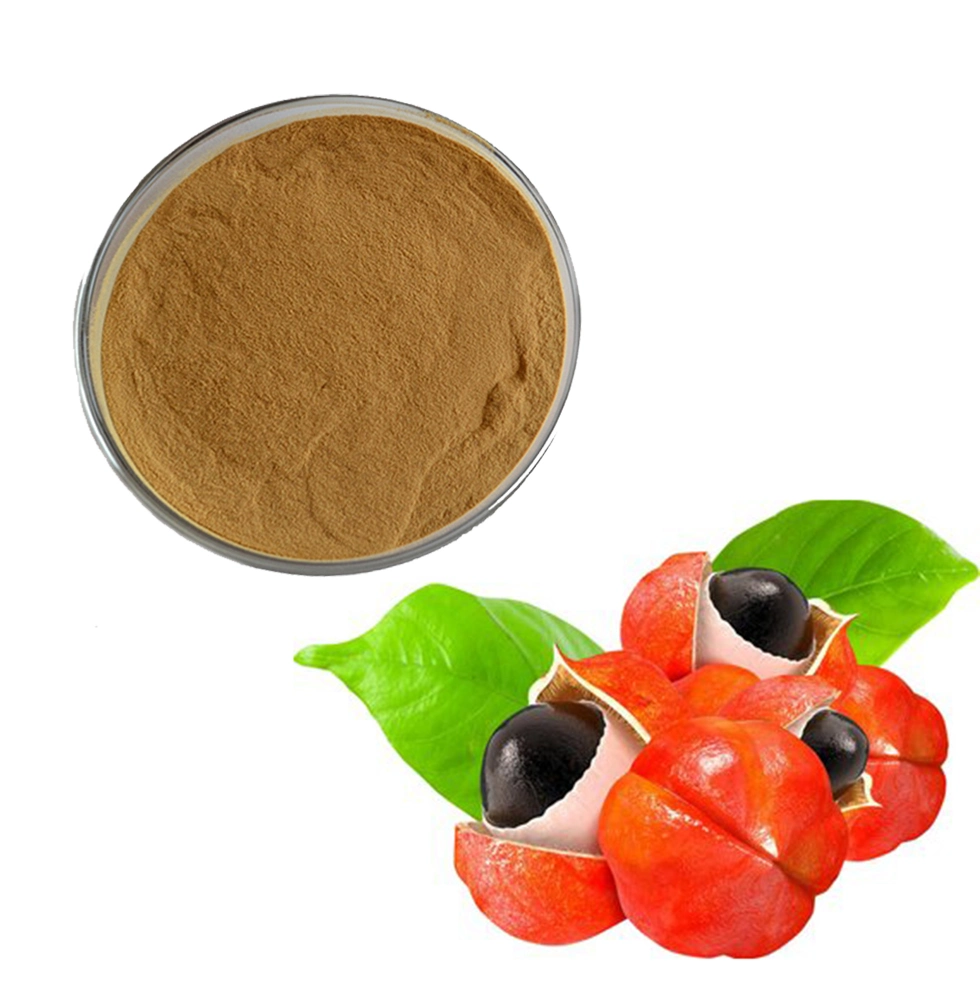 Extracto en polvo de guaraná NLT 10% de cafeína-Dried Alto nivel de cafeína Ingrediente estimulante para el suplemento