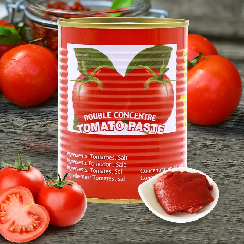 Cheap Small 70g*100tins/CTN Canned Tomato Paste in 28-30%