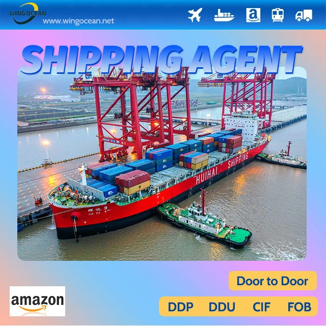 Companhia de Transporte Marítimo Internacional com despachante de cargas da China Para a Suíça