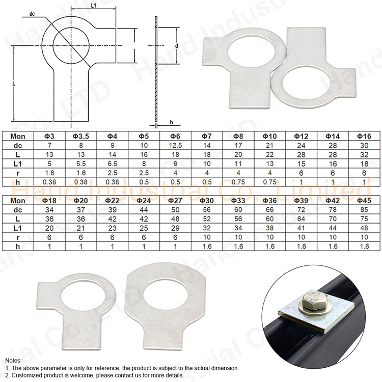 DIN463 GB855 SS304 SS316 gut, Leistungs-Tabulator-Federringe mit zwei Tabulatoren für Schrauben und Muttern sperrend