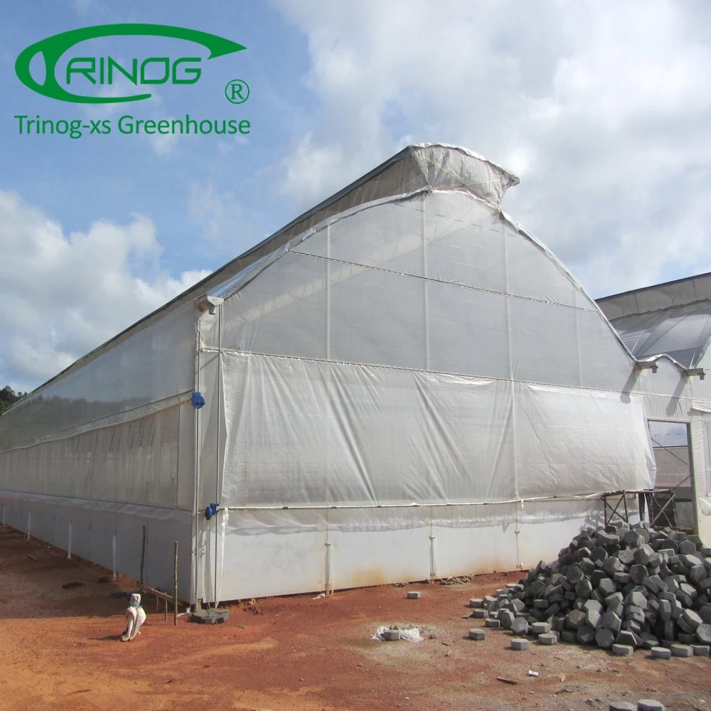 Low Cost Agricultural Multi-span Film Greenhouse