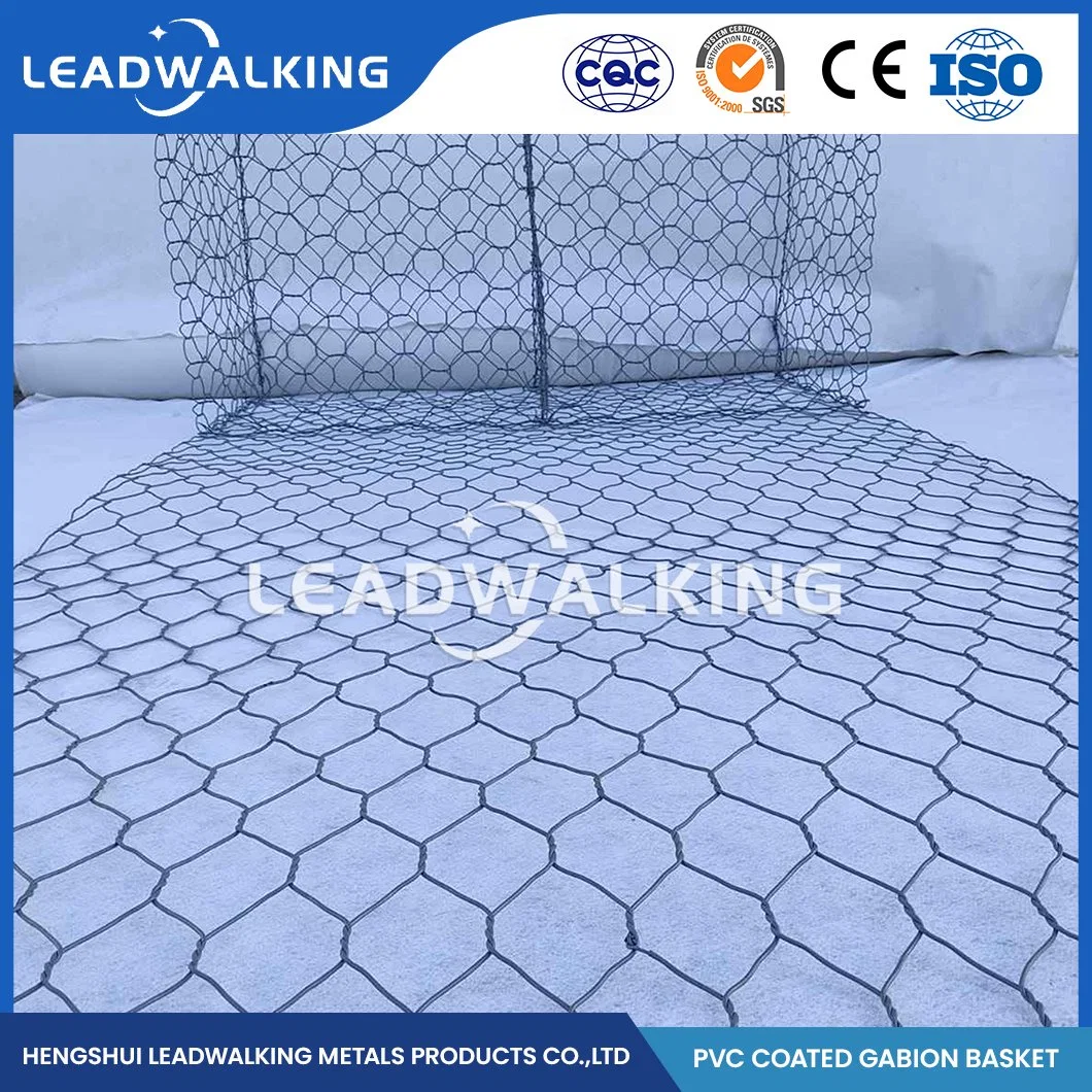 Leadسيرا على الأقدام 2.0*0.5*0.5 مقاس المعدن Gabion Mesh Cage Factory Prevention بلاستيك مطلي سداسي الشكل قابس الصين 60×80 مم مطلي بالبلاستيك المغطى بطبقة رقيقة NET