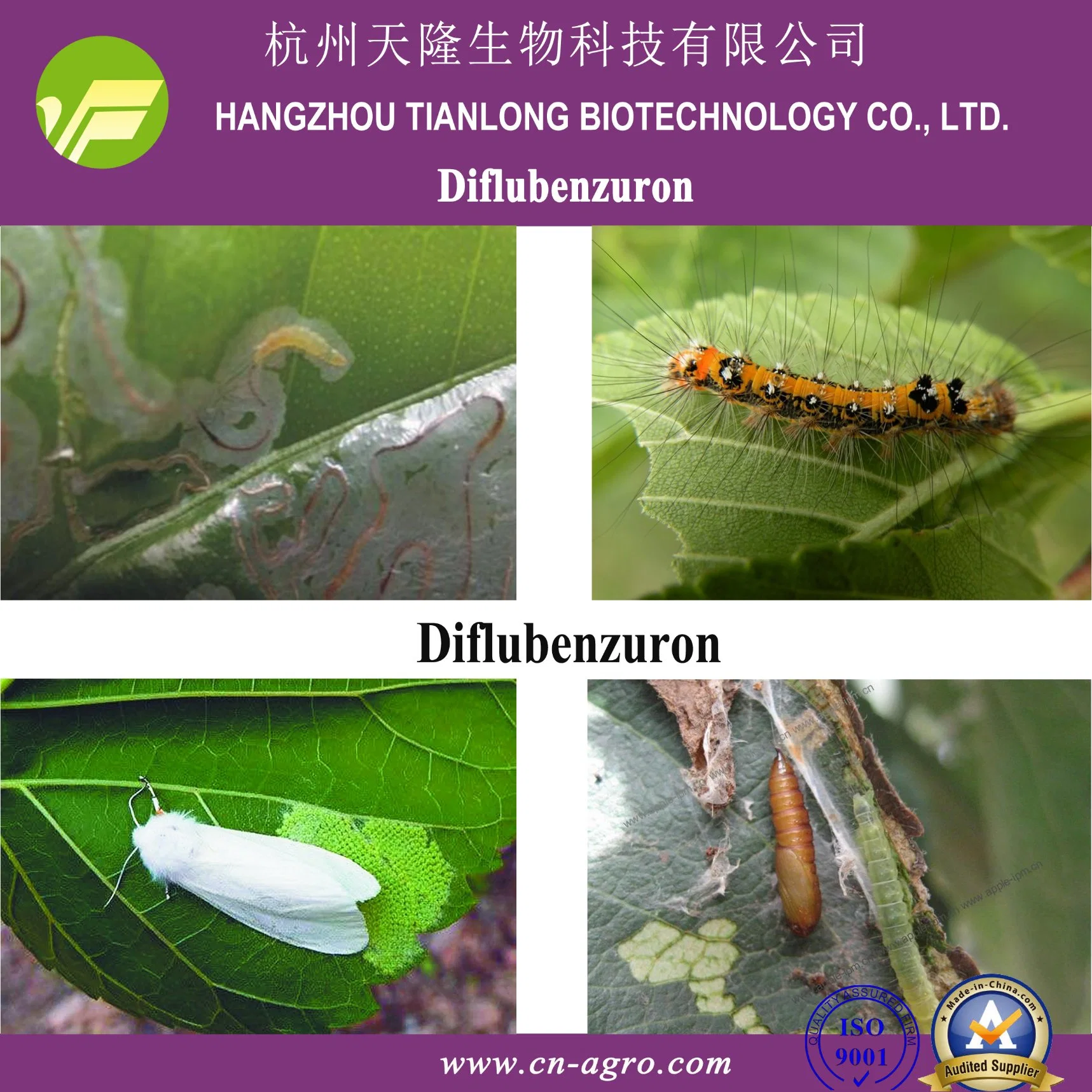 Insecticida Diflubenzuron 97%TC,98%TC CAS 35367-38-5