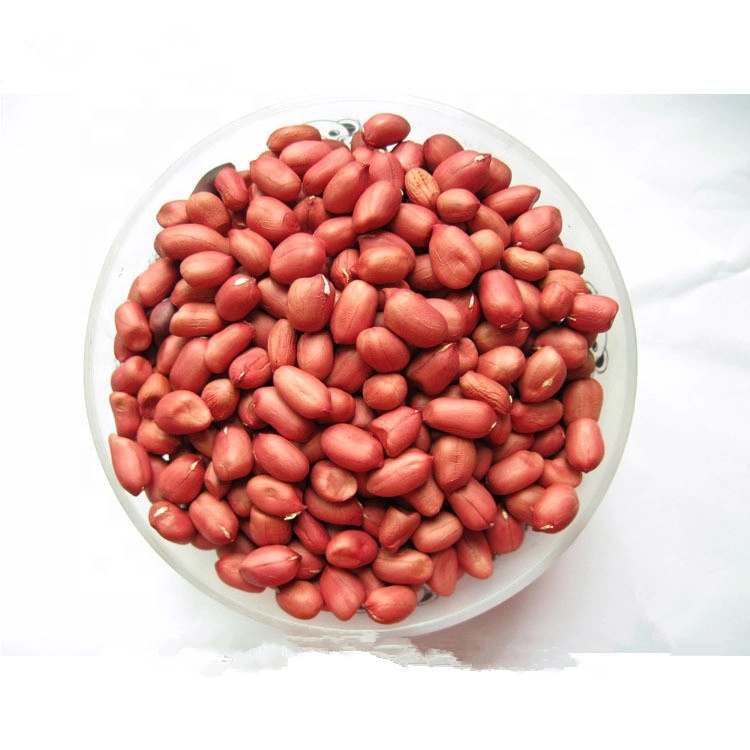 Suppliers and Exporters of Peanut