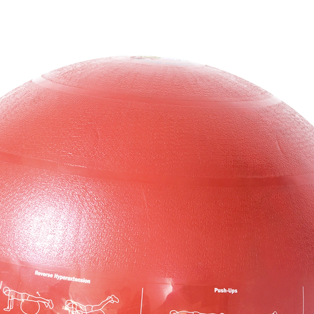 Exercise Ball for Workout Pilates Stability