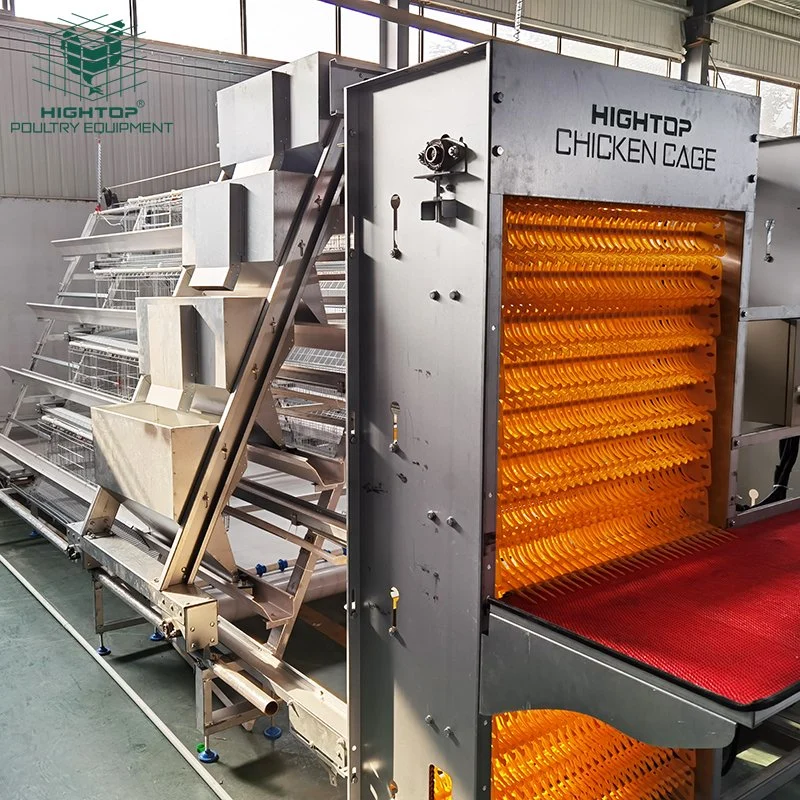 Automatic 3 4 Tier A Frame Type Feeding Poultry Layer Chicken  Cages For Sale