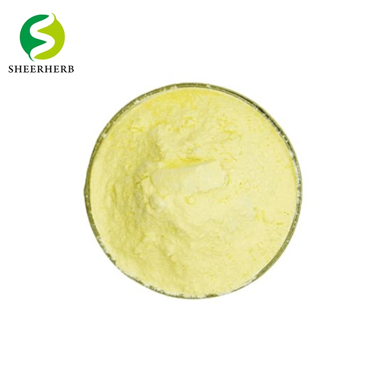 Best Price Factory Supply Apigenin Bulk Powder CAS 520-36-5 Apigenin Powder Apigenin