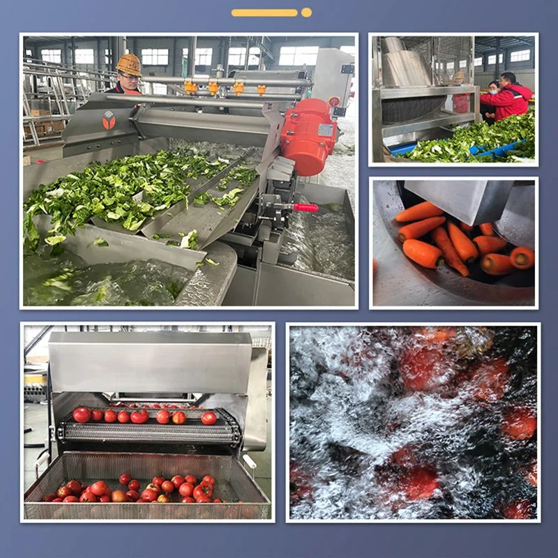 Industrial Salad Vegetable Production Vegetable Washing Cutting Drying Processing Line