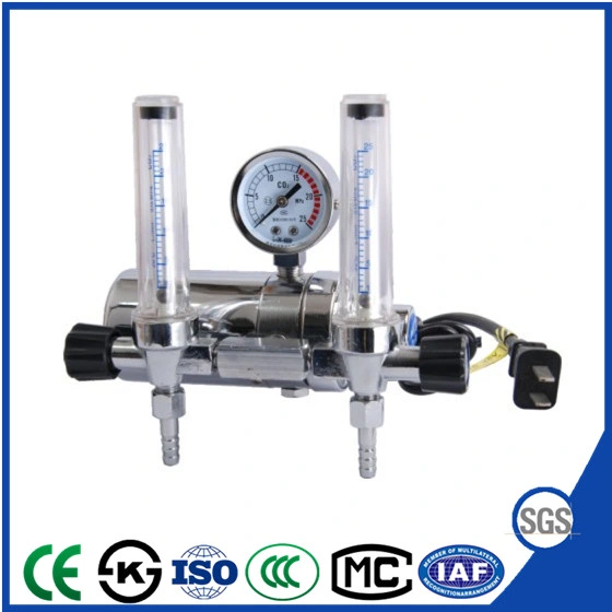 Electric CO2 Gas Regulator with Double Flow Meter