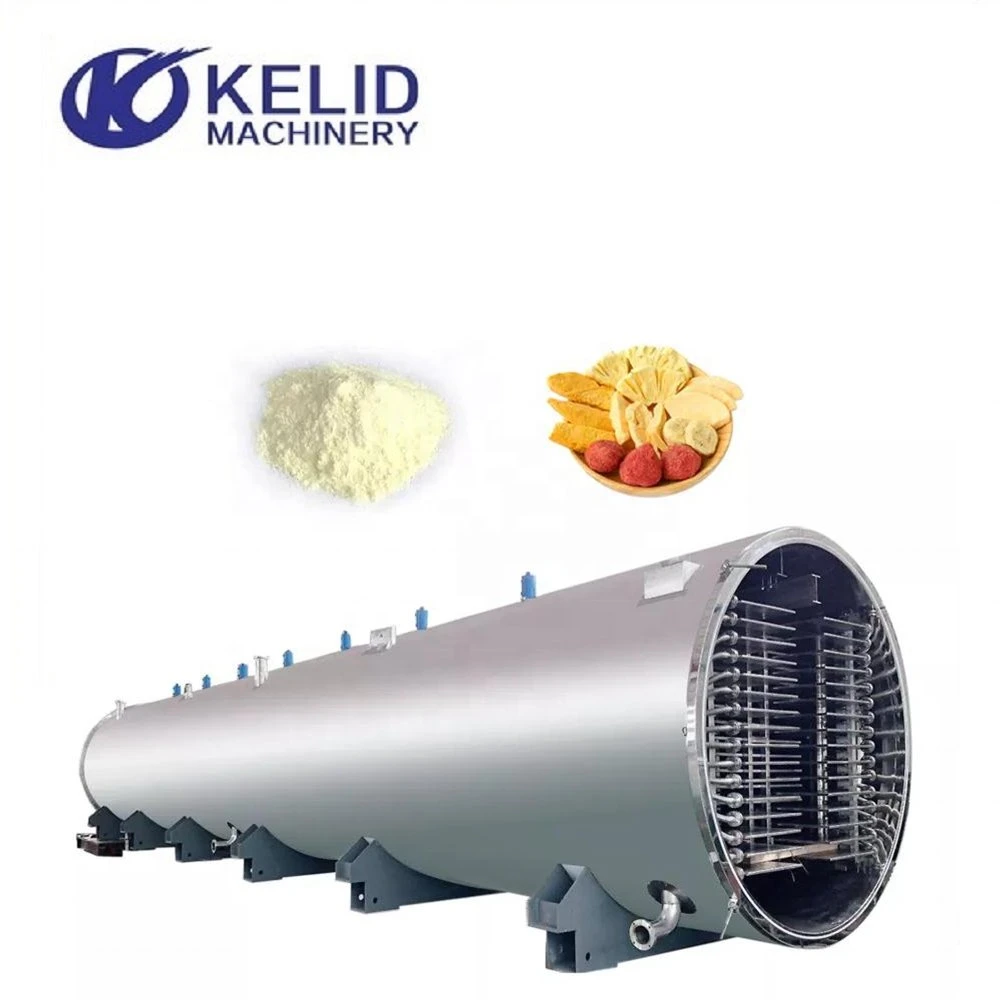 Industrial Sring Fish Cod Salmon Skin Lyophilizer Fish Meat Vacuum Freeze Dryer Machine