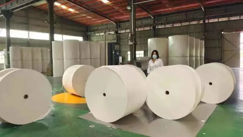 Virgin Wood Pulp Jumbo Roll Tissue for Cutting Paper Towel Facial Tissue