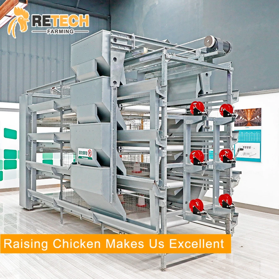 Original Factory Supply Baby Chicken Cage / Pullet Raising Ausrüstung für Südosten Asien-Markt