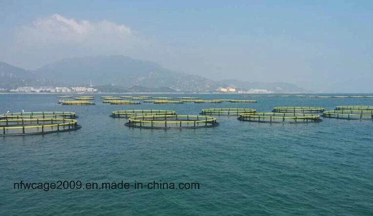 Sistema de jaulas flotantes ecológico para el cultivo de peces Cage