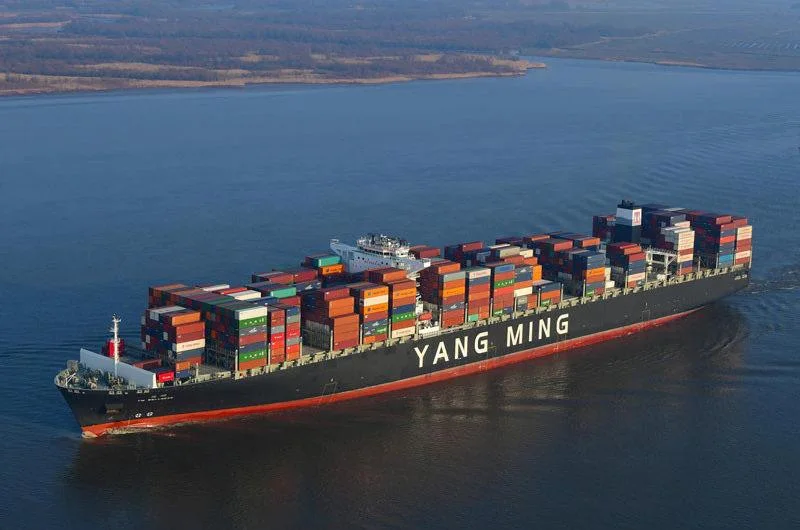 Professional Shipping Agent/Experienced Logistics Service Provider/Container Shipment From China to The Worldwide