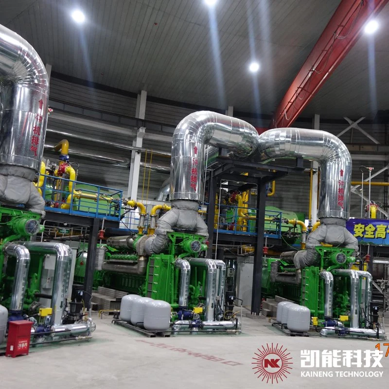 Vertical Exhaust Gas Heat Recovery Steam Generator with SCR for 1000kw~4000kw Gas Generators