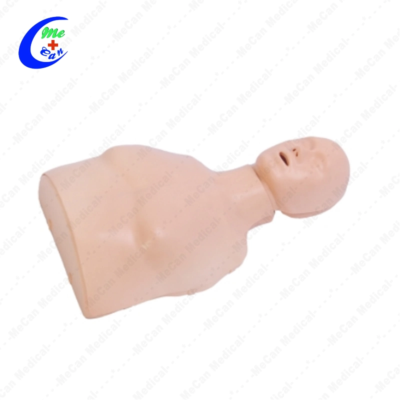 Hochwertige medizinische Rettung Baby CPR Erwachsene Manikin Diversity Kit 4 PAC