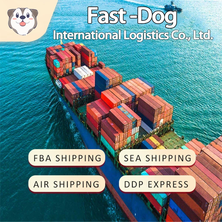 China International Logistics Company Professional Freight Forwarder Shipping Service de La Chine au monde entier