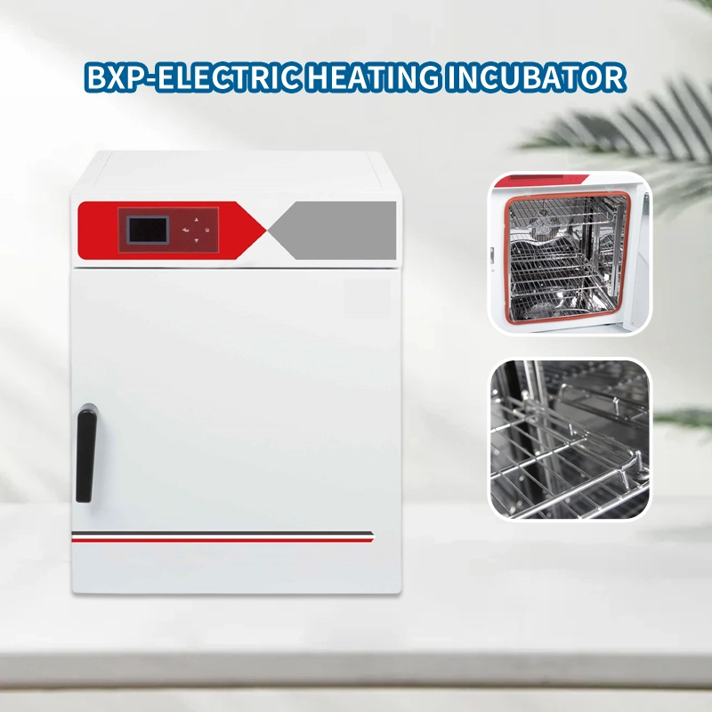 Electric Constant Temperature Incubator Best Selling Lab Instrument Lab Equipment Thermostat with High quality/High cost performance 