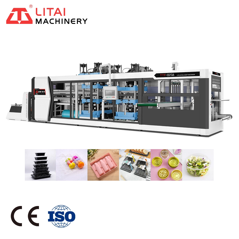 Automatic Cake Tray Egg Tray Manufacturing Forming Machine Big Set Semi Auto