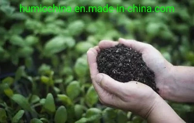 La pureza del potasio Humate escamas brillantes/polvo/gránulos/Crystal el 98% NPK abonos orgánicos solubles en agua el crecimiento de planta de ácido húmico potasio Humate