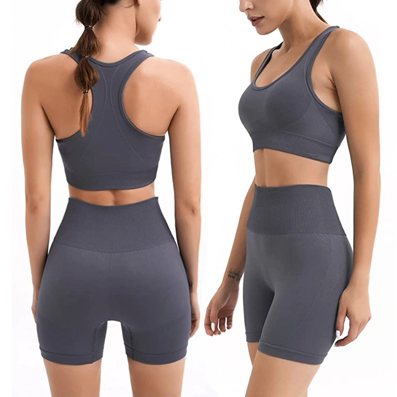 Wholesale/Supplier Women Seamless OEM ODM Fitness Wear Casual Sports Wear 2 Piece Workout Set Racer Back Bra with Shorts Gym Yoga Clothing Fitnesswear
