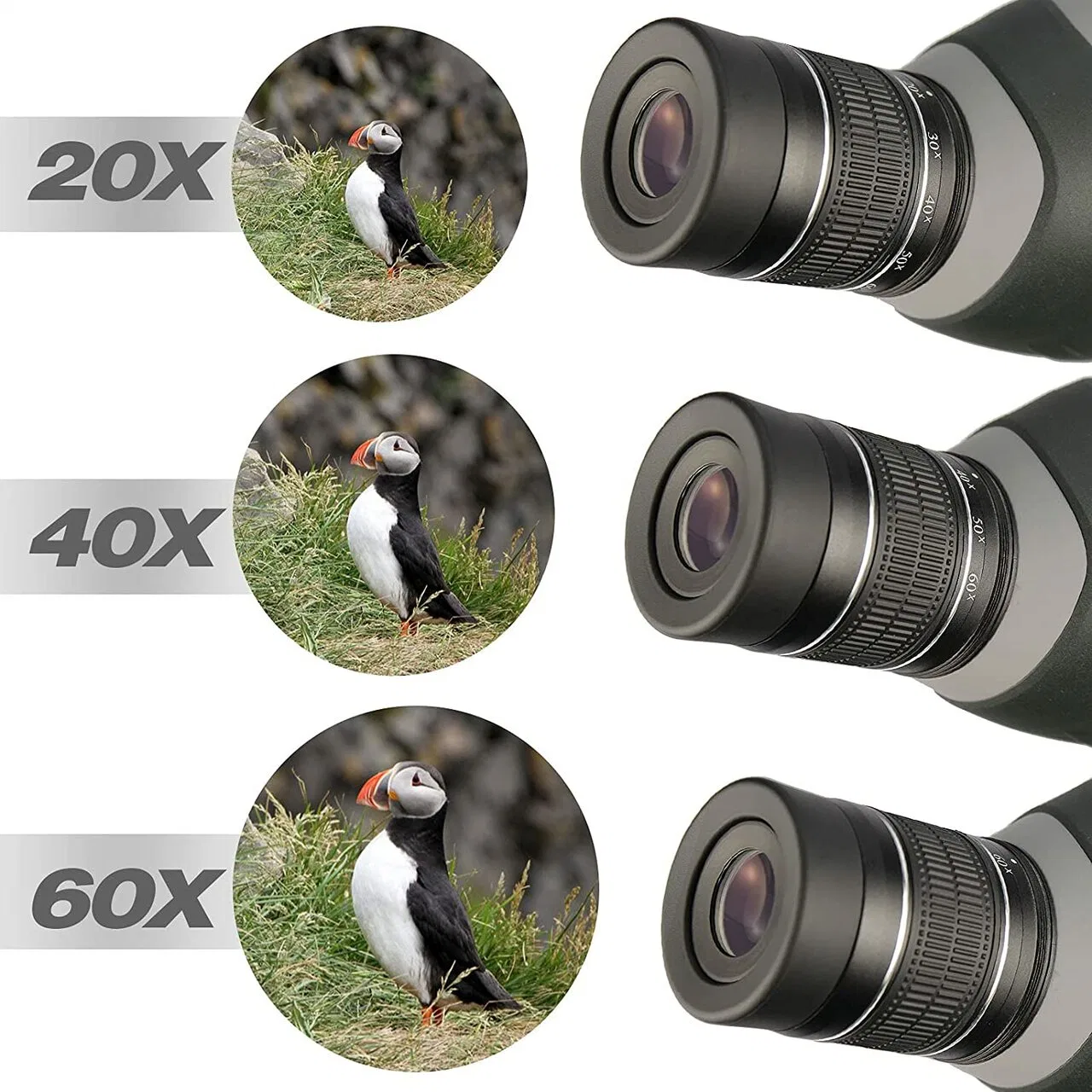 20-60X80 Escopo de detecção à prova de água Zoom Bak4 de focagem dupla totalmente Multi Ocular angular de 45 graus com revestimento para observação de aves