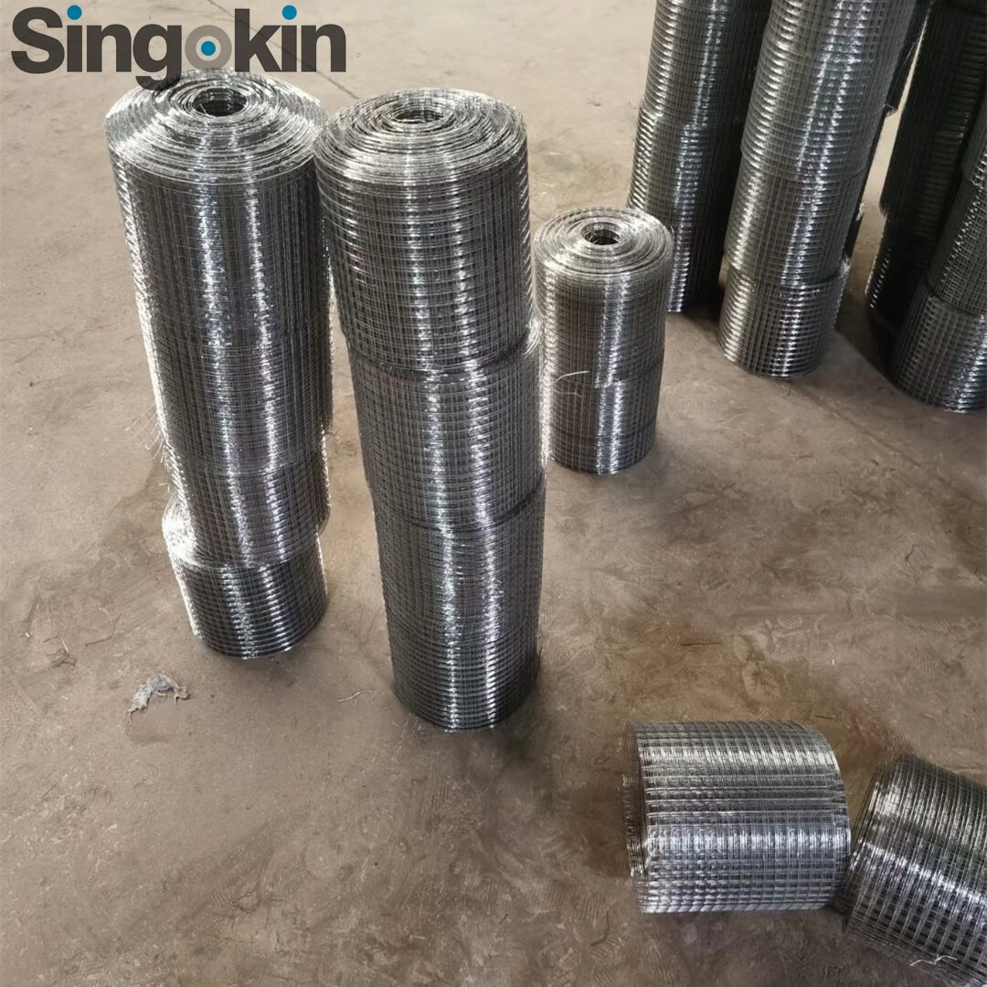 Galvanized Wire Black Coated Welded Mesh Hardware Cloth for Protection