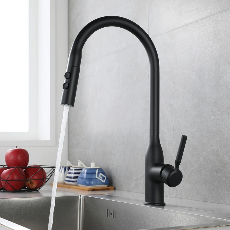 Luxury 360 Rotation Matte Black Hot Cold Kitchen Taps Mixer with Water Purifier 2 Function Pull Down Faucets
