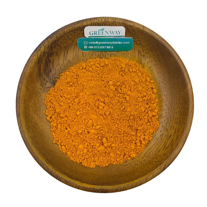 Grade d'aliments naturels organiques Marigold Extrait de fleur de Poudre Poudre 5-20% de la zéaxanthine