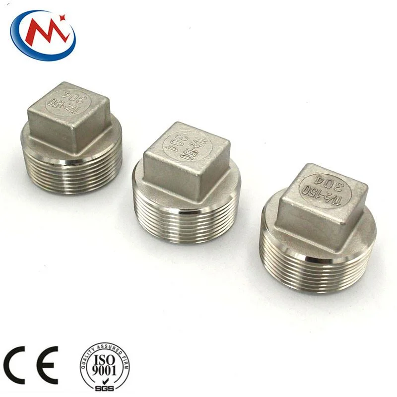 Manufacturer Stainless Steel 304 316 Pipe Fitting Casting Square Plug