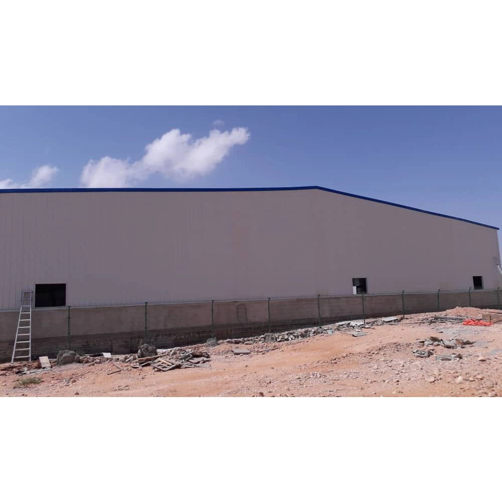 New Style Steel Peb Q355b Structure Design/Warehouse/Hanger/Shed Prefabricated Buildings Prices