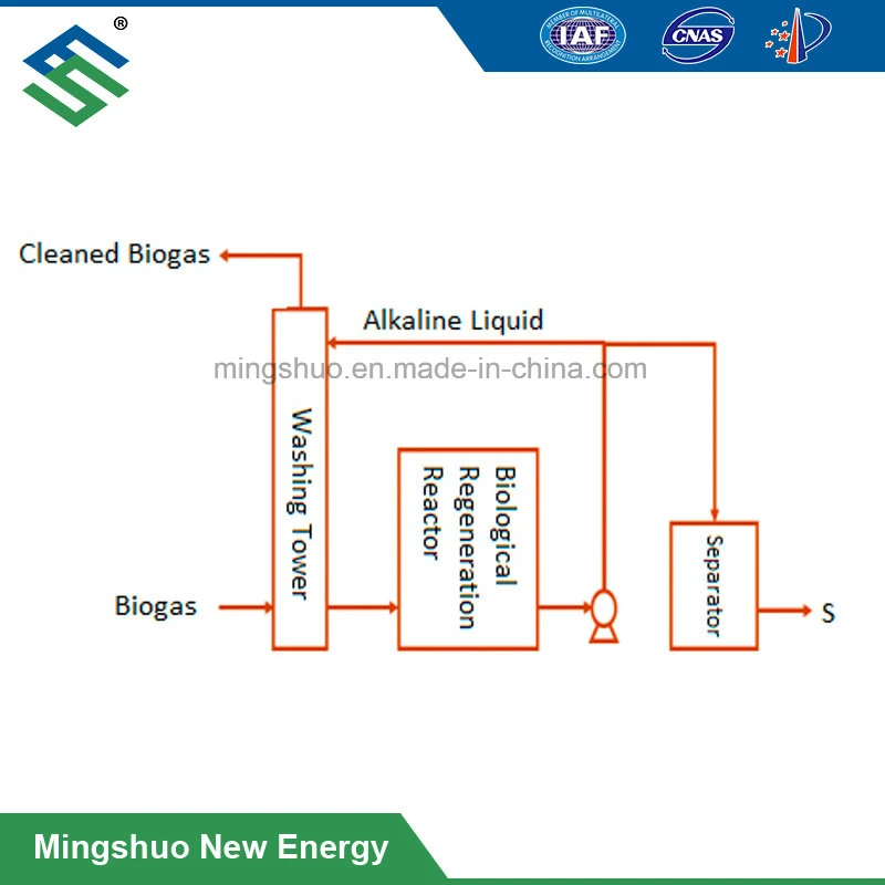 H2s Sulfur Removal by Biological Method with Low Operation Cost