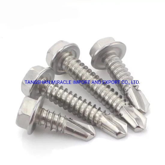 Factory Directly Supply Stainless Steel Self Tapping Screw/Driling Screw/Wood Screw