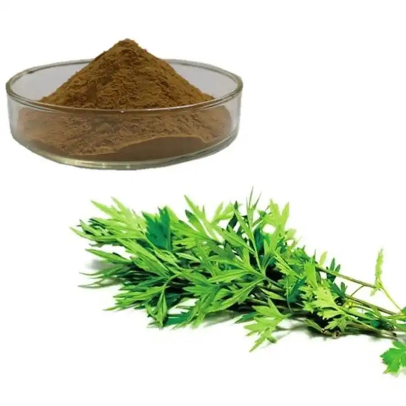 China ISO Factory Bulk Price Supply Organic Mugwort Extract Powder Feed Material