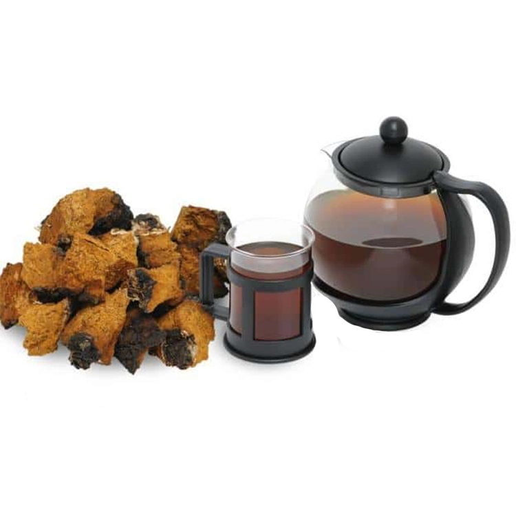 Organic Inonotus Obliquus Mushroom Extract Bai Hua Rong Mushroom Powder Chaga Mushroom Chaga Extract Water Soluble