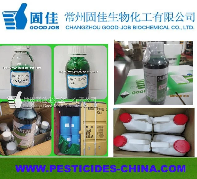 China fabricante de fábrica herbicida Paraquat (42%TK, 20%SL, 276 g/l SL) Herbicida Gramecoop 20 SL