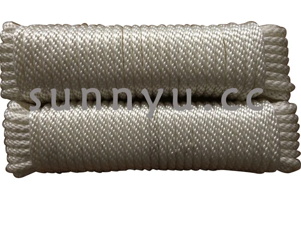 Professional Factory Polyester Solid Braided Rope