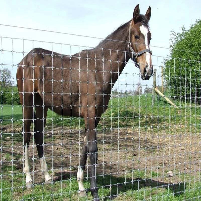 Ganado 32mm Dra Farm Fence Prevent Hinge Joint Wire Mesh Barandilla de panel de cerco de hierro cerco de acero al por mayor T Post Caballo establo Esgrima campo de ganado Fence