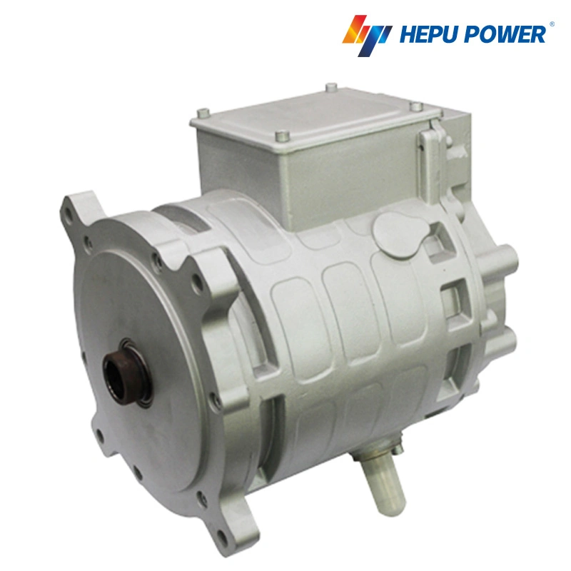 45kw Permanent Magnet Motor for Compact Pure Electric Vehicle