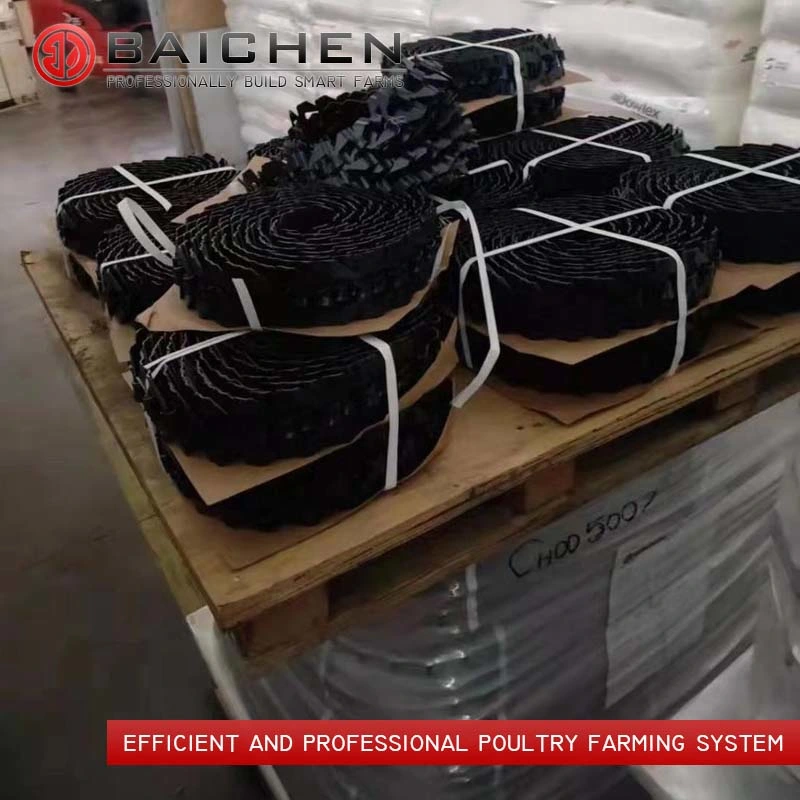 Factory Cheap Chain Feeding System Machine for Poultry Farm