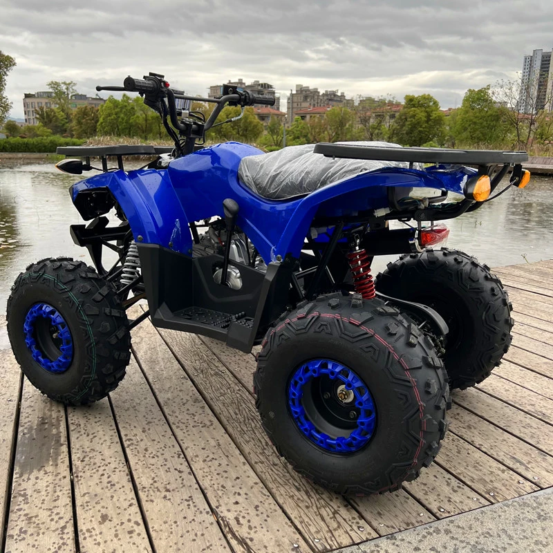 С детским квадроциклом CE′ S Mini Quad ATV 125 куб. См. Детский квадроцикл Мотоцикл ATV