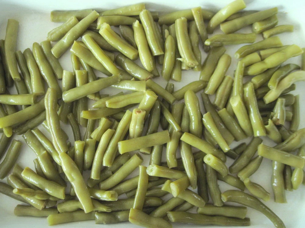 Fresh Canned Green Beans Food 425g