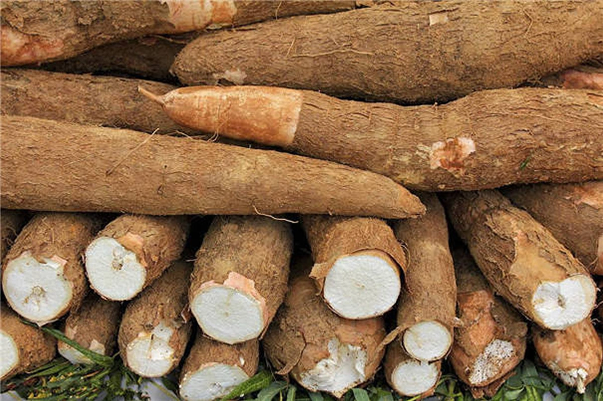 Meckey Alto rendimiento de rendimiento Cassava/ patata/ Tapioca producción de almidón línea Maquinaria