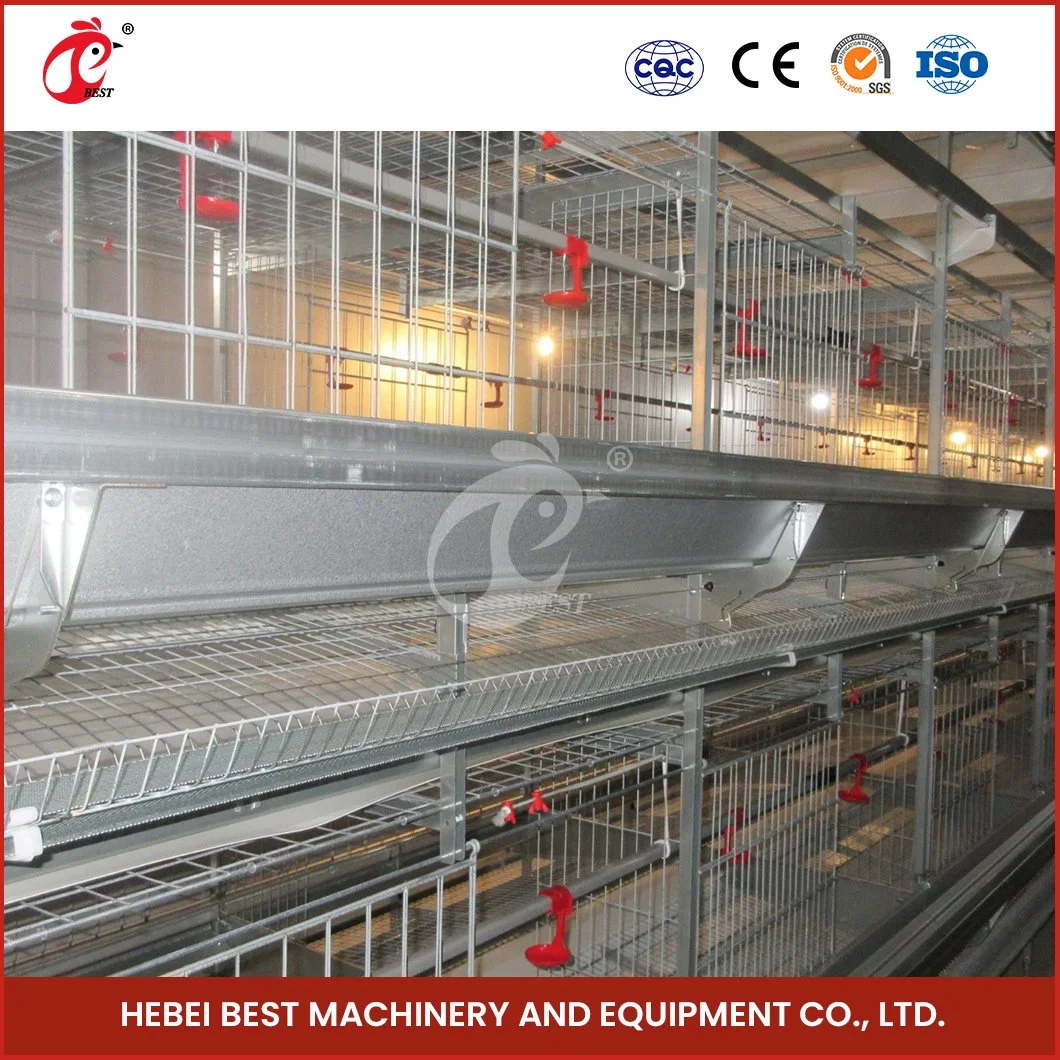 Bestchickencage H Type Pulled Brooder Cage Breeder Cage China Chicken Breeder Pullet Cage Factory OEM Custom Bamboo Material Baby Broiler Chicken Cage a Type