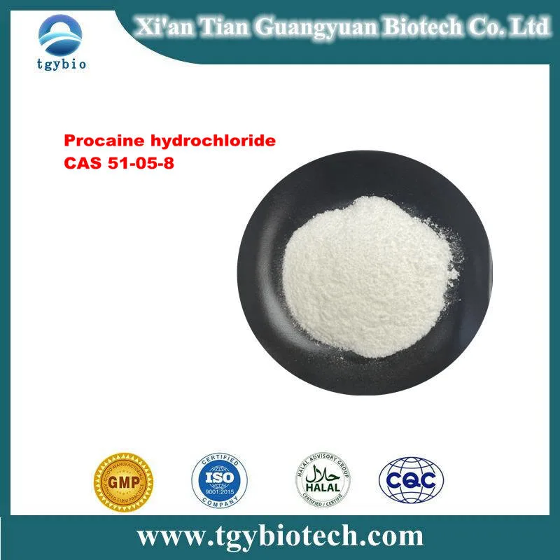 Factory Supply Bulk Pure Procaine HCl Powder Procaine Hydrochloride CAS 51-05-8