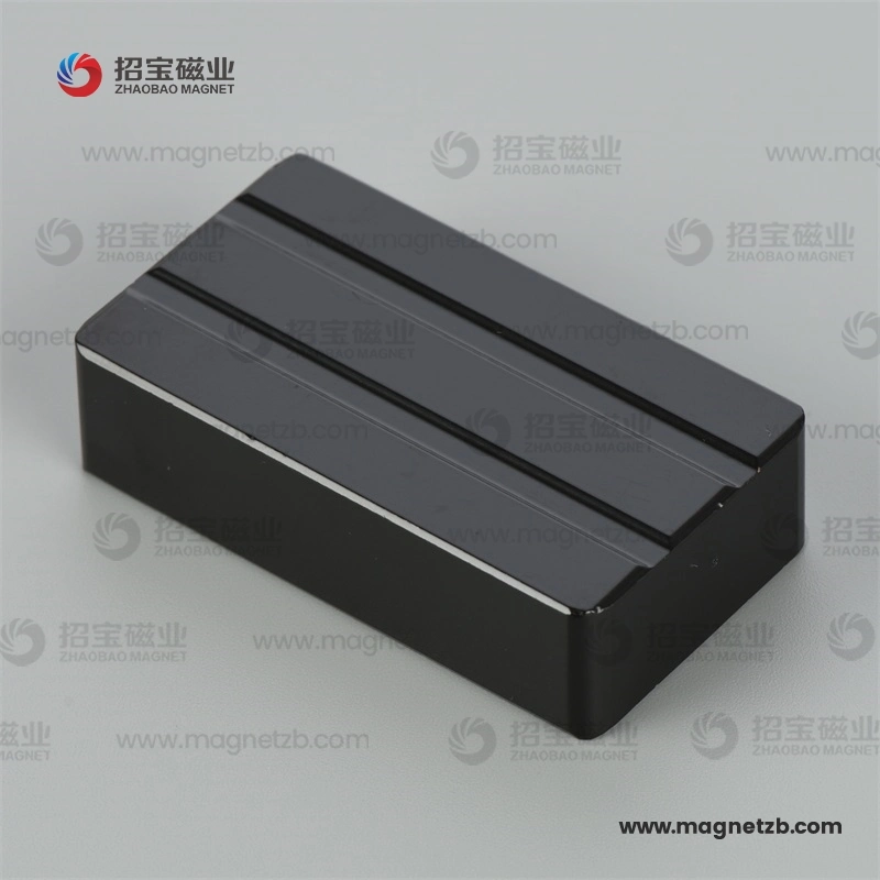 Neodymium Special Magnet Strong NdFeB with Epoxy Coating Neo Manufacturer for Motor